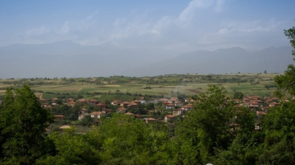Уточнение за опасните пестициди в село Петрово | StandartNews.com