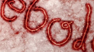 Първи случай на ебола в Либия