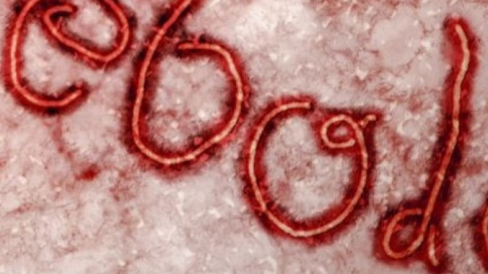 Първи случай на ебола в Либия | StandartNews.com