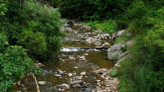 Кола падна в река Широколъшка, има жертва 