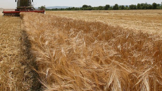 Селските стопани ще плащат върху 300 лв.