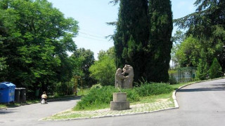 В старозагорския парк се роди мече