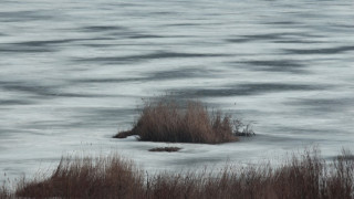 Езерото на пеликаните замръзна