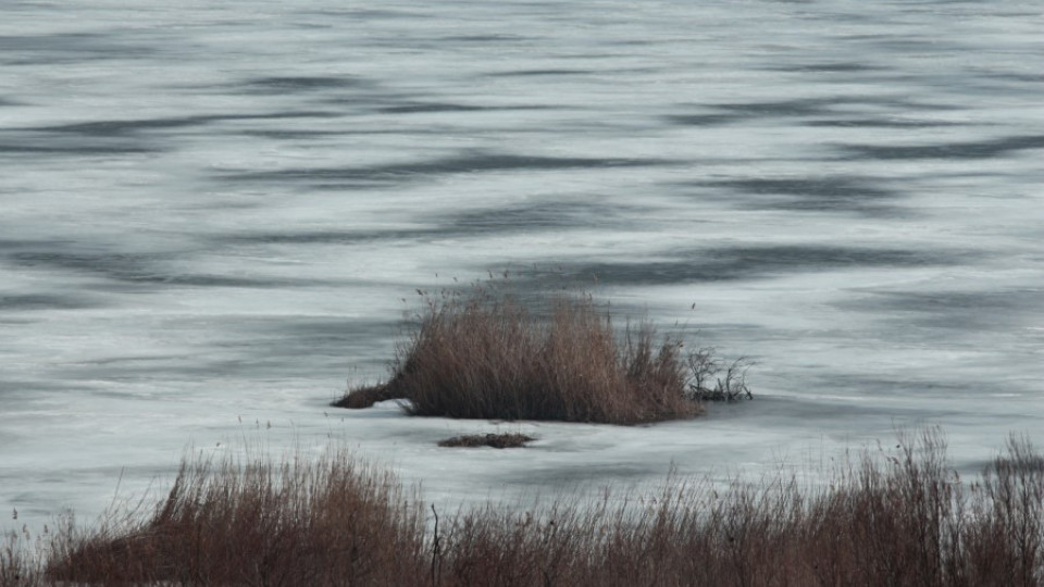 Езерото на пеликаните замръзна | StandartNews.com