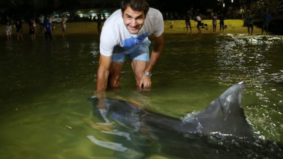Федерер храни диви делфини | StandartNews.com