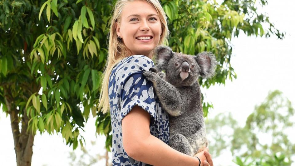 Маша заряза Гришо заради коала | StandartNews.com