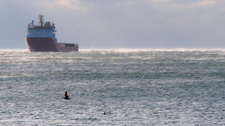 Банкоматите замръзнаха, морето завря от студ (ОБЗОР)