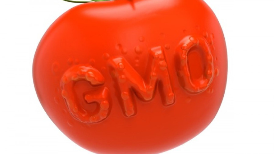 Европарламентът гласува за правото на отказ от ГМО | StandartNews.com