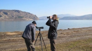 20 вида водолюбиви птици зимуват в Източните Родопи