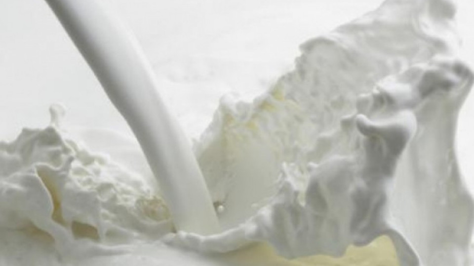 Заради руската забрана за внос: Искаме помощ от ЕС за млекопроизводителите  | StandartNews.com