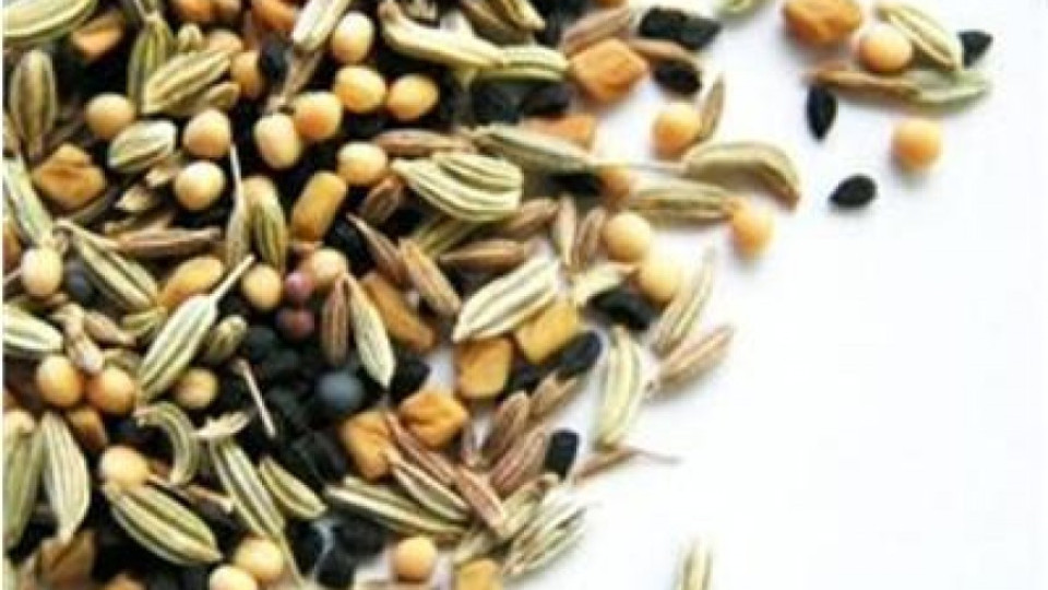 Над 65 фирми ще участват в изложение за семена и посадъчен материал | StandartNews.com