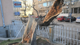 Силен вятър затвори пътища в Монтанско