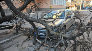 Снеговалеж спря отстраняването на авариите във Вършец и Берковица