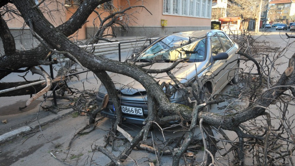 Снеговалеж спря отстраняването на авариите във Вършец и Берковица | StandartNews.com