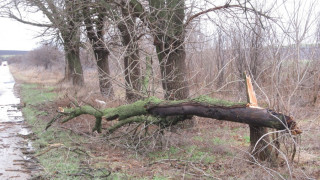 Първолак от Русе остана кръгло сираче