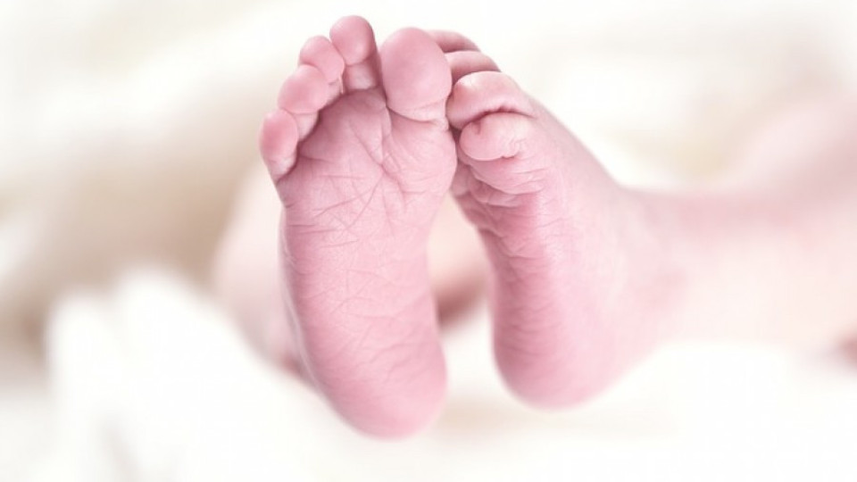 Бебета с трима родители - скоро във Великобритания | StandartNews.com