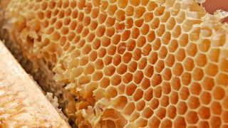 Пчелари искат по-големи субсидии