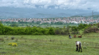 Две коли катастрофираха на бензиностанция