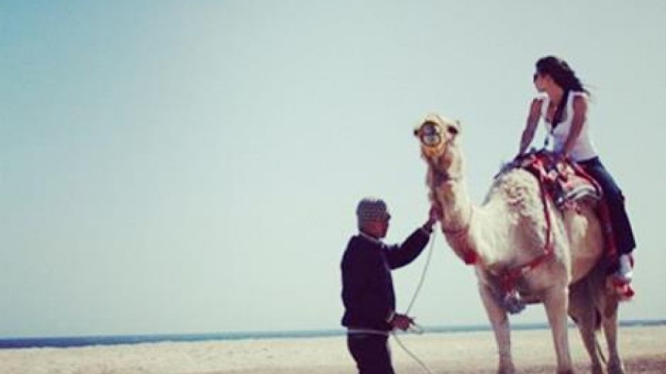 Цвети Пиронкова яхна камила  | StandartNews.com