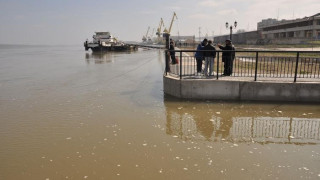 Тревога по Дунав заради 850 т отрова (ОБЗОР)