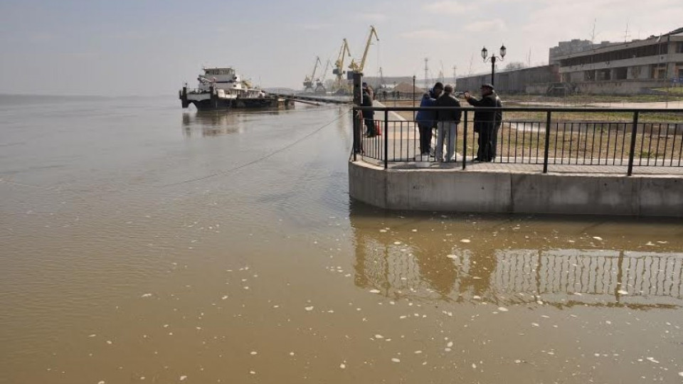 Тревога по Дунав заради 850 т отрова (ОБЗОР) | StandartNews.com