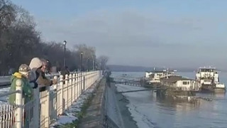 Няма замърсяване в река Дунав
