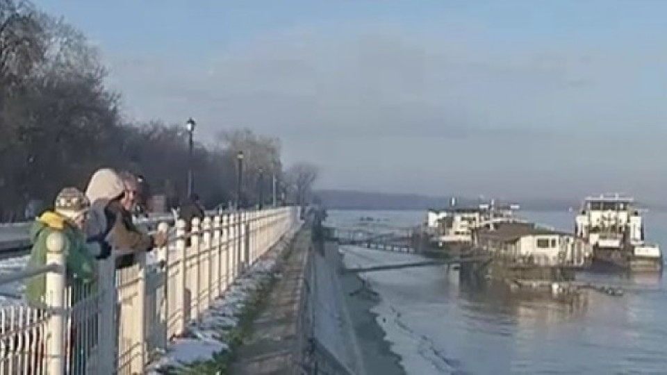 Няма замърсяване в река Дунав | StandartNews.com