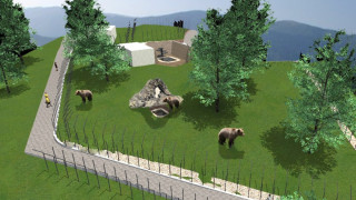 Нов дом и повече пространство за мечките в благоевградския зоопарк