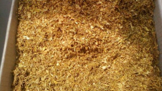 Родопчани доволни от средствата за дребнолистните ориенталски тютюни