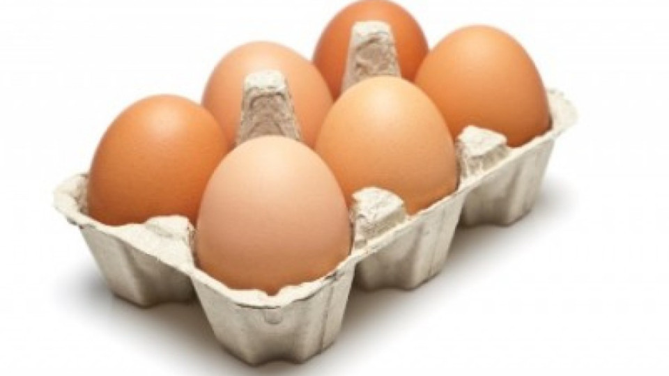 Кувейт забрани вноса на птици и яйца от България | StandartNews.com