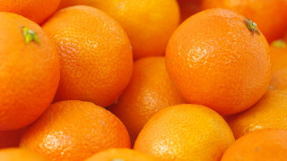 Разсипани портокали блокираха АМ "Тракия 