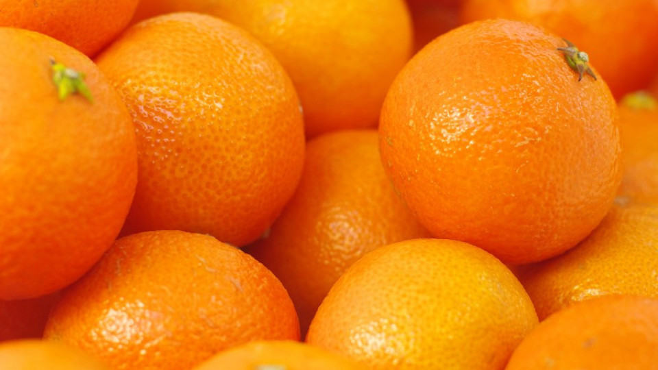 Разсипани портокали блокираха АМ "Тракия  | StandartNews.com