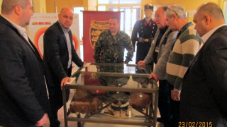 Показват пушки от войната в пловдивско кметство