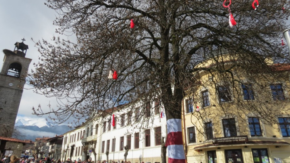 Деца от Банско украсиха дърво с мартеници  | StandartNews.com