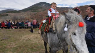 Хлапе на годинка стана атракция на кушиите в Симитли