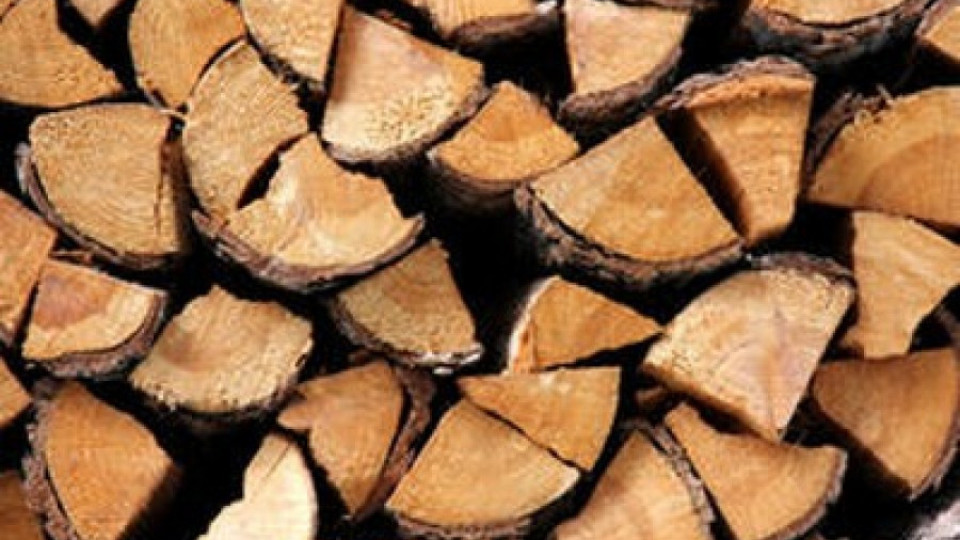 НС временно забрани износа на дървесина | StandartNews.com