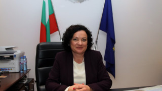 Ивелина Василева представя БГ позицията за околната среда в Брюскел