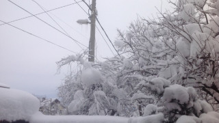 Снегът остави без ток отделни селища в Пиринско