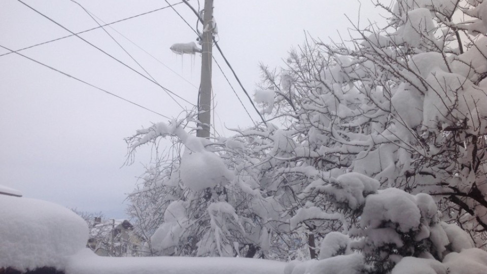 Снегът остави без ток отделни селища в Пиринско | StandartNews.com