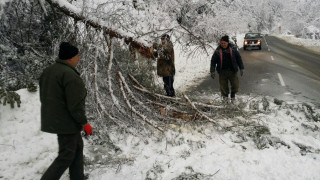 Снегът повали 40 дървета край пътя Добринище – Гоце Делчев