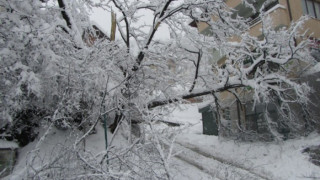 Изолирани в снежен капан и в Кърджали