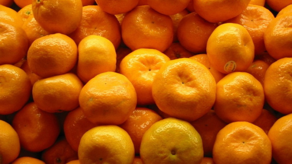 Проверяват всяка пратка с портокали и мандарини | StandartNews.com