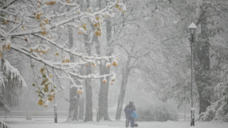 Снегът застигна и Североизточна България