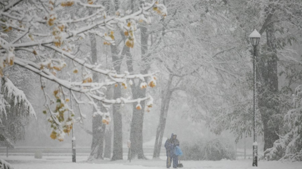 Снегът застигна и Североизточна България | StandartNews.com