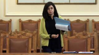 Кунева за бедствията: Правителството се справи