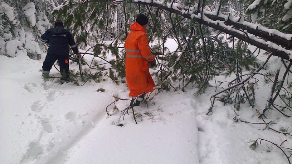 Хора остават блокирани от снега в почивни станции и вили | StandartNews.com