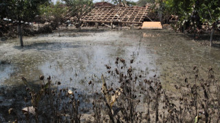 Високи подпочвени води наводниха домове в Пловдивско