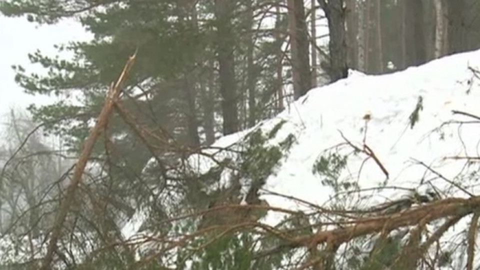 Снежното бедствие взе още две жертви | StandartNews.com