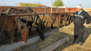 Роми малтретираха работнички в частна ферма