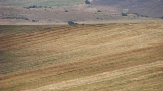 Българите не са свикнали да сключват земеделски застраховки